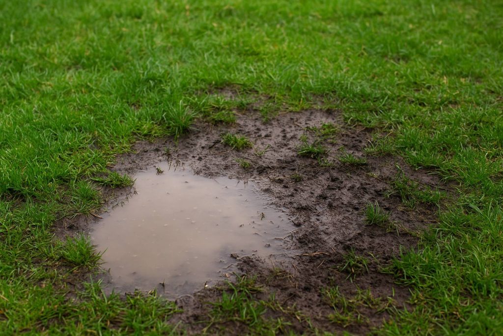 Muddy lawn with puddles indicating need for sewer line inspection.